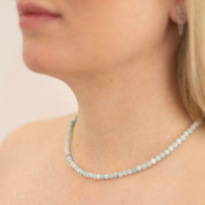 Petit Amazonite - Necklace